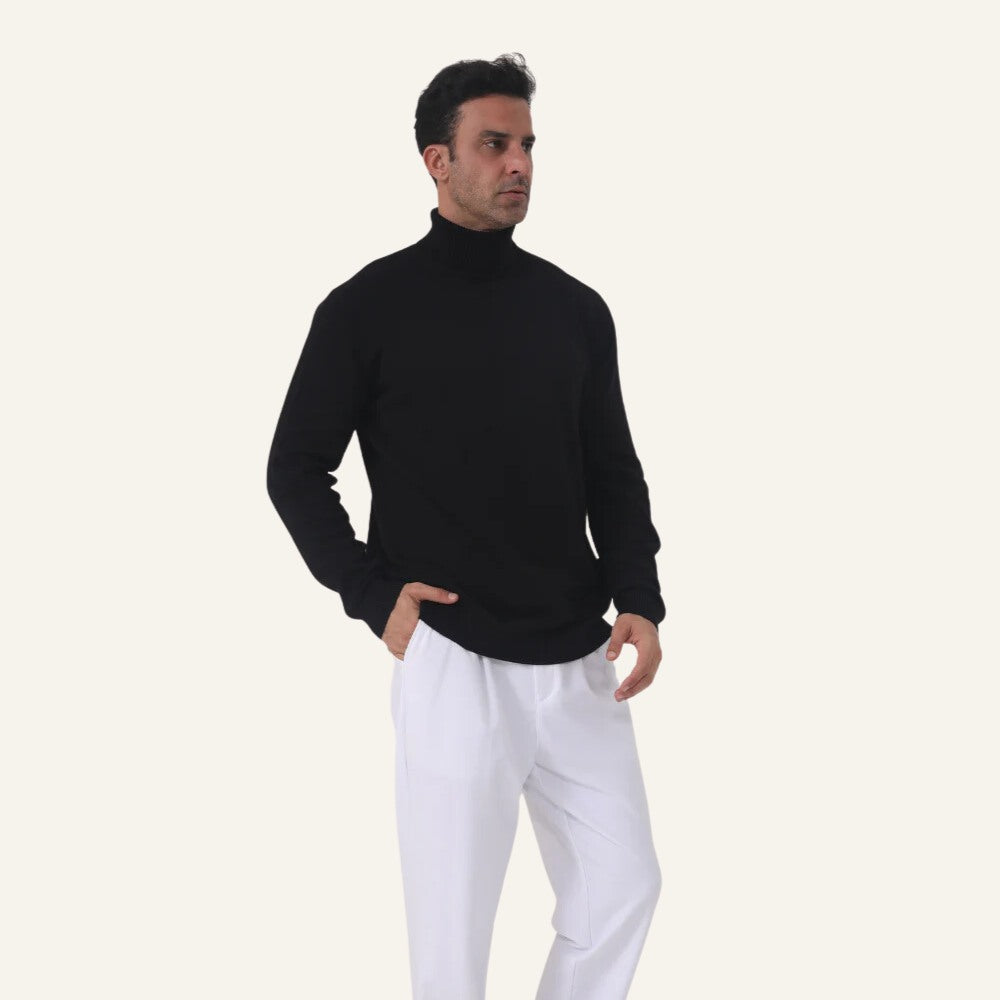 Milani Turtleneck Pullover Sweater