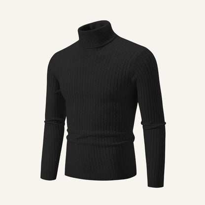 Rizzo Turtleneck Pullover Sweater